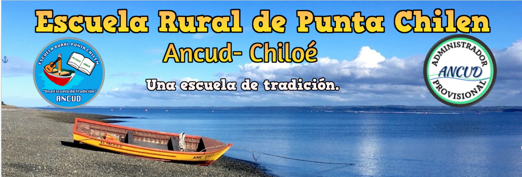 Escuela  Rural Punta Chilen