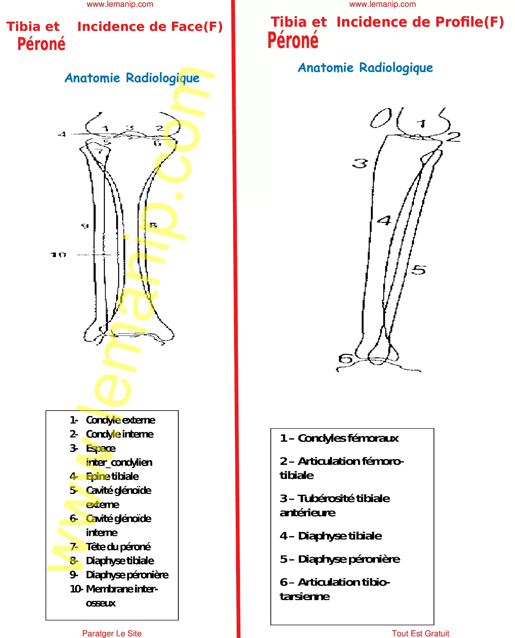 radiographie pb,radiographie bois de boulogne,r3r radiologie,radiographie st martin,radiographie saint martin,radiologie a domicile,radio medicale,pb radiologie,radio imagerie,radiologie belanger