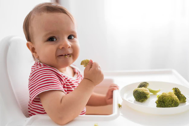 National Baby Food Festival