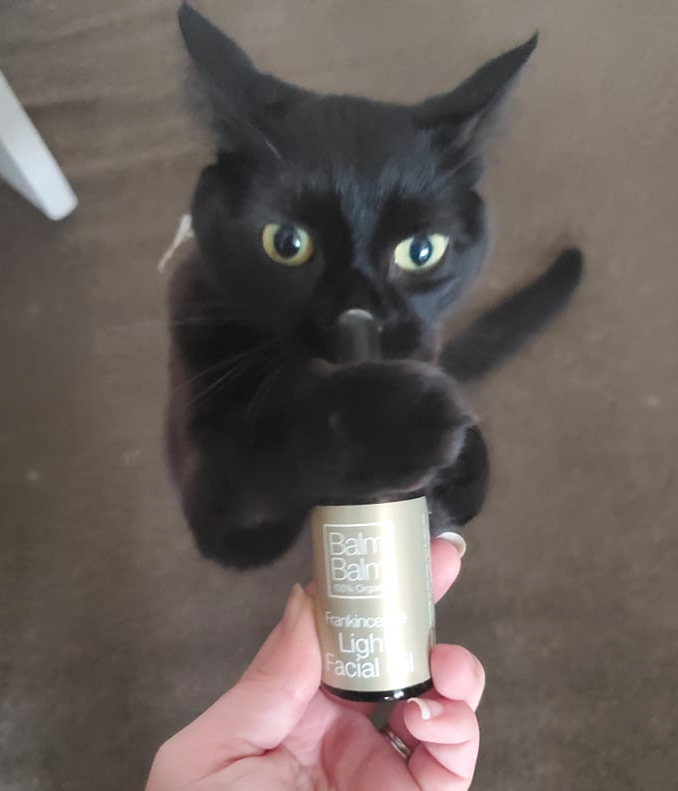 Balm Balm Frankincense Skincare Light Facial Oil with black cat grabbing the bottle
