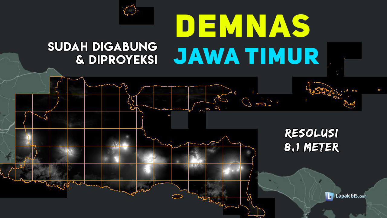 DEM Nasional (DEMNAS) Provinsi Jawa Timur Terbaru