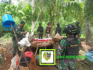 Terciptanya Kemanunggalan TNI Dengan Rakyat, Satgas Pamtas RI - PNG Yonif 711/Raksatama Bantu Masyarakat Perbatasan Panen Dan Mengolah Sagu