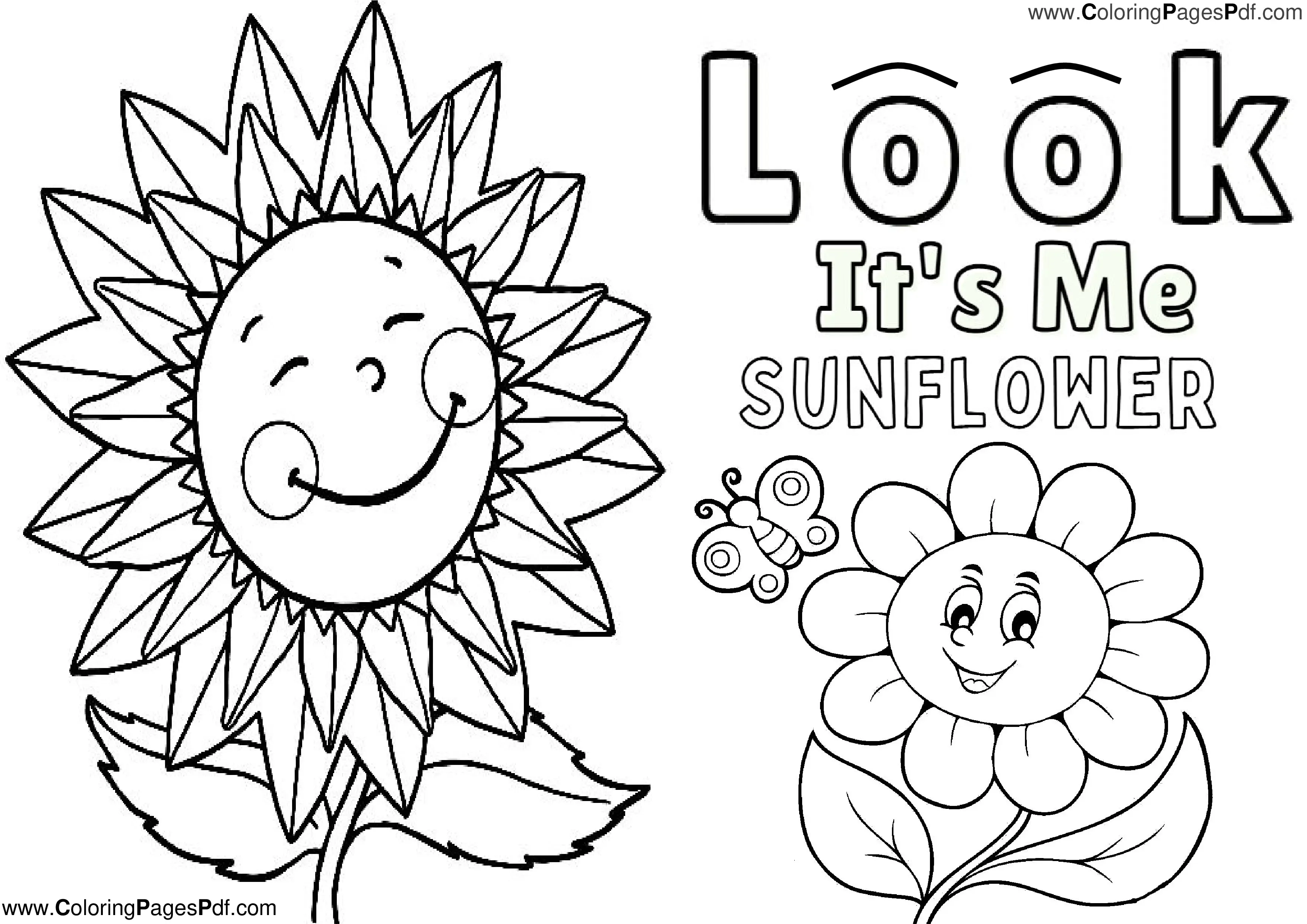 Sunflower coloring pages for preschoolers