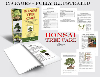 Bonsai Tree Made Easy By Michael James