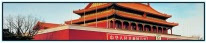 Chinese Forces