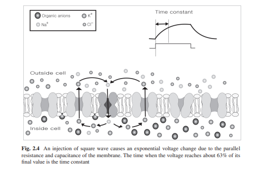 Introduction to Bioelectricity Full