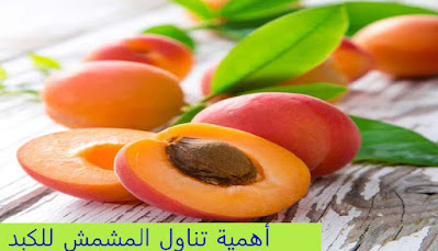 فائدة المشمش