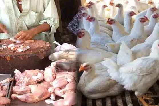 The rate of chicken has reached Rs 730 per kg