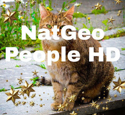 Fréquence de National geographic ou  NatGeo People HD Middle-East sur NileSat