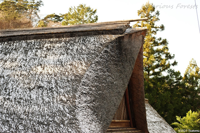 Thatched roof with snow