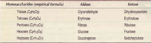 Introduction to carbohydrates B. Pharm Class Notes & Important Points Biochemistry and Clinical Pathology