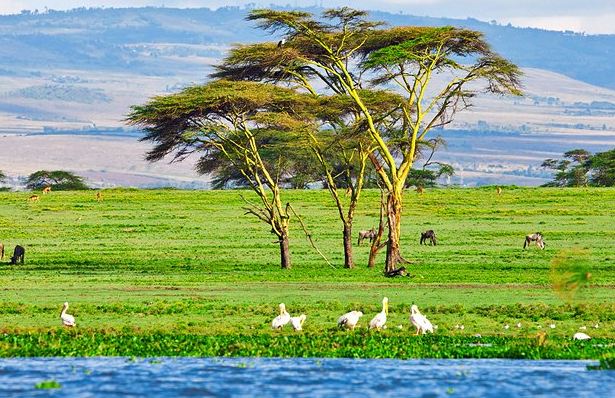 7 Top-Rated Tourist Attractions in Kenya