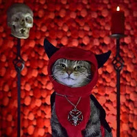 Disfraces de Halloween para gatos