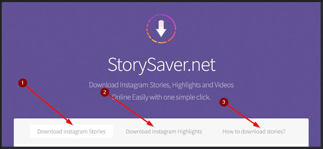 fitur download story dan highlight serta tutorial di storysaver net