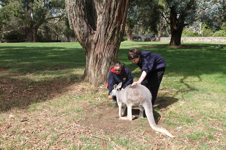 This visit was part of our Science programme.