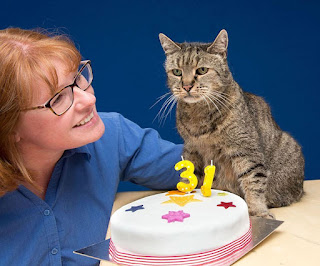 Conoce al gato más viejo del mundo que tiene 31 años y aún le quedan muchas vidas