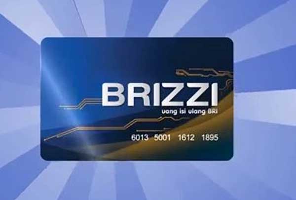 Kartu BRIZZI Bisa Untuk Bayar Cicilan Belanja Online?