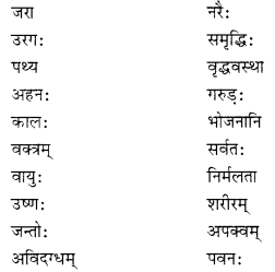 Solutions Class 10 शेमुषी भाग 2 Chapter-3 (व्यायामः सर्वदा पथ्यः)