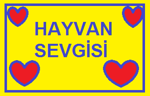 hayvan sevgisi ile ilgili kompozisyon