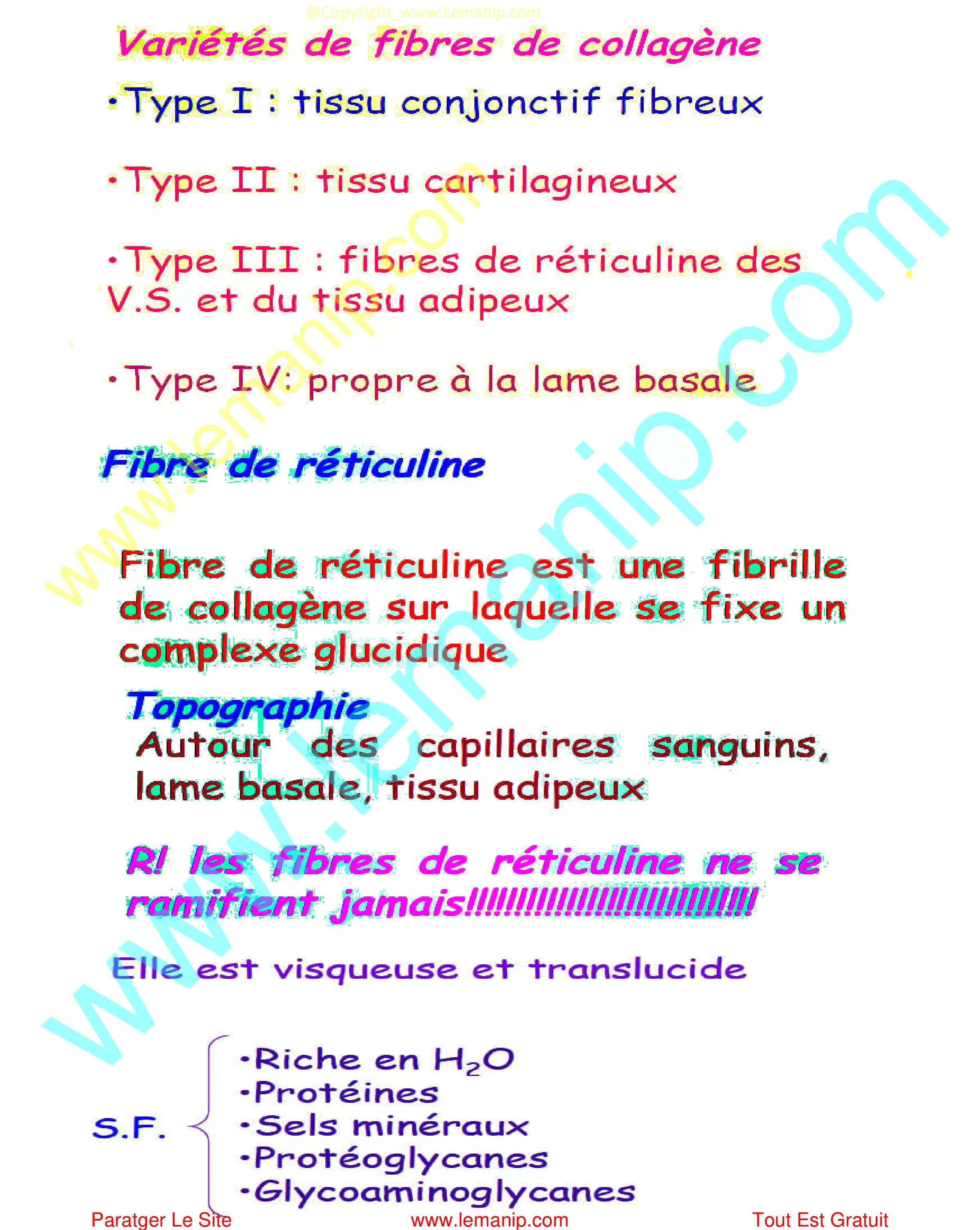 Fibres de réticuline