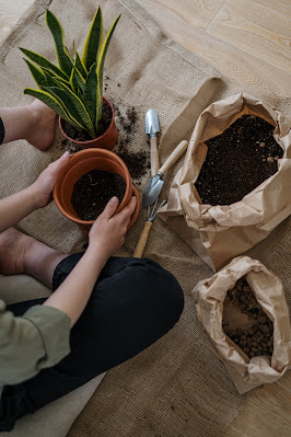 gardening