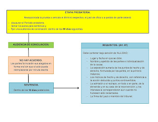 etapa-probatoria-proceso-laboral