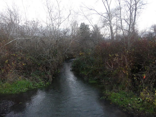 10: small water bulging to the edges of vegetation