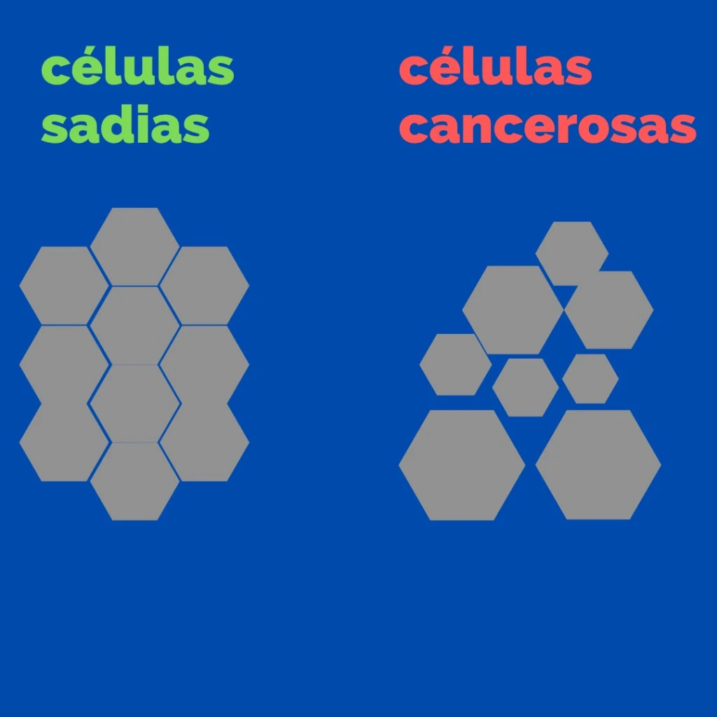 Explicando o que acontece em escala celular