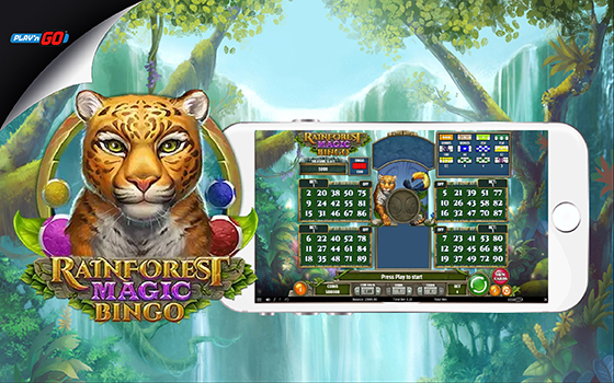 Goldenslot Rainforest magic bingo