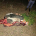  Ibarreta: la Policía intervino en un hecho de abigeato y secuestró producto cárnico