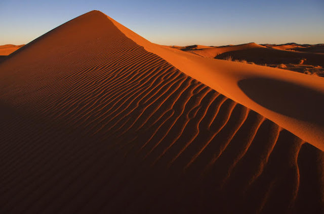 wisata padang pasir merah di dubai