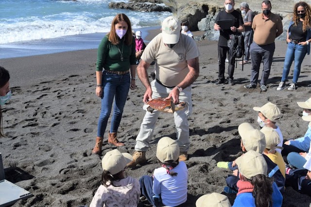 Cabildo de Fuerteventura  libera tres ejemplares recuperados de tortuga en Ajuy con motivo del Día Mundial de la Educación Ambiental