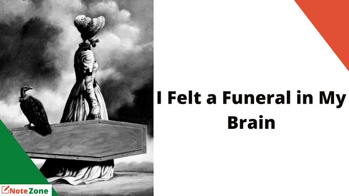 Critical Appreciation of I Felt a Funeral in My Brain