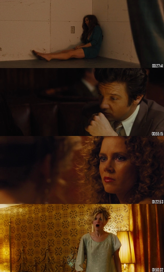 American Hustle 2013 BRRip 720p 480p Dual Audio Hindi English Full Movie Download