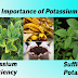  Importance of Potassium for plant growth