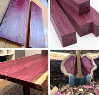Disadvantages and advantages of purple heart wood