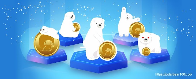 GET #PolarBear100x STARTUP LAUNCH PROGRAM on P2PB2B exchange