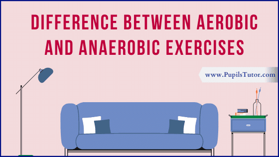 What Are The Aerobic And Anaerobic Exercises? - Compare Aerobic Vs Anaerobic Exercises | 8 Key Difference Between Aerobic And Anaerobic Activities - www.pupilstutor.com