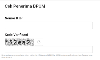 Kesempatan Cuma sampai Akhir Tahun, Cairkan Rp 1,2 Juta Dana BLT UMKM di BRI Jika Termasuk 5 Golongan Berikut