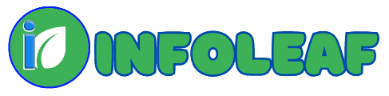 Infoleaf