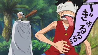 One Piece 第865話 ルフィとレイリーの修行回想 ネタバレ