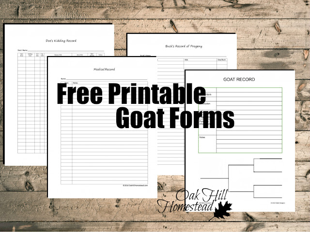 Graphic of goat record-keeping forms