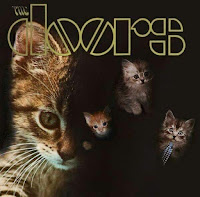 Carátulas de álbums famosos reemplazadas con gatos como protagonistas