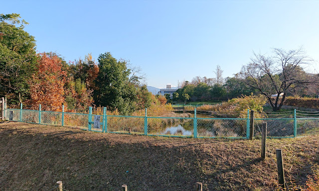 峯ヶ塚古墳(羽曳野市)