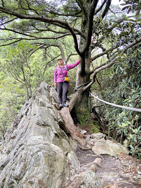 鳶嘴山下山往稍來山方向