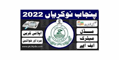 Punjab Jobs 2022 – Government Jobs 2022