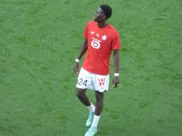 Amadou Onana: The Rising Star of the Premier League in 2024