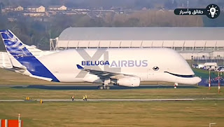 Airbus belugaXL