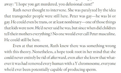 Ruth never thought to intervene. She was paralyzed by the idea that transgender people were still here. Peter was gay—he was bi or gay. He could even be trans, or at least nonbinary—one of those things that kids were now. He’d never said he was, but since when did children tell their mothers everything? No one would ever call Peter masculine. He could still be here. Even at that moment, Ruth knew there was something wrong with this theory. Nonetheless, a hope took root in her mind that she could never entirely be rid of afterward, even after she knew that whatever it was had removed every human with a Y chromosome, everyone who’d ever been potentially capable of producing sperm.