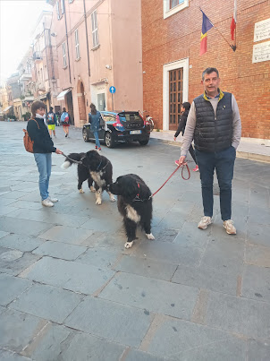 Rimini Old Town in the morning.